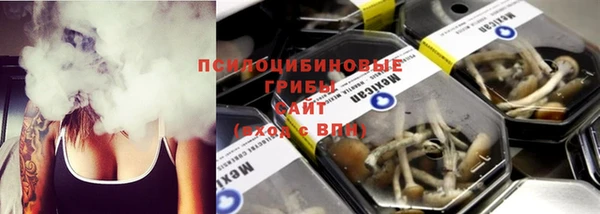 МДПВ Белокуриха