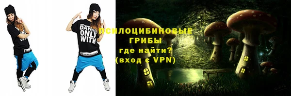 МДПВ Белокуриха
