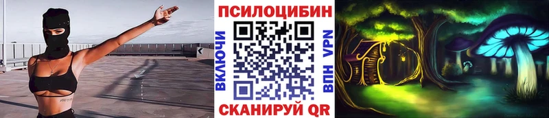 Галлюциногенные грибы MAGIC MUSHROOMS  hydra как войти  Светлогорск  где купить наркотик 